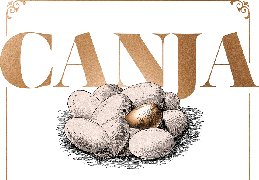 Canja