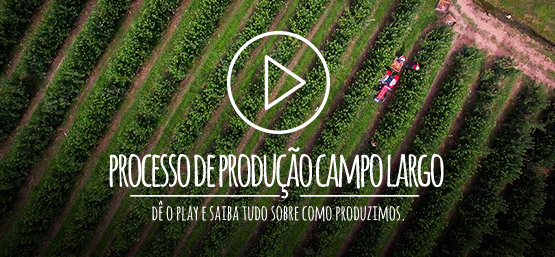 Processo de Produção Campo Largo